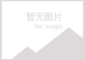 湛江冰夏采矿有限公司